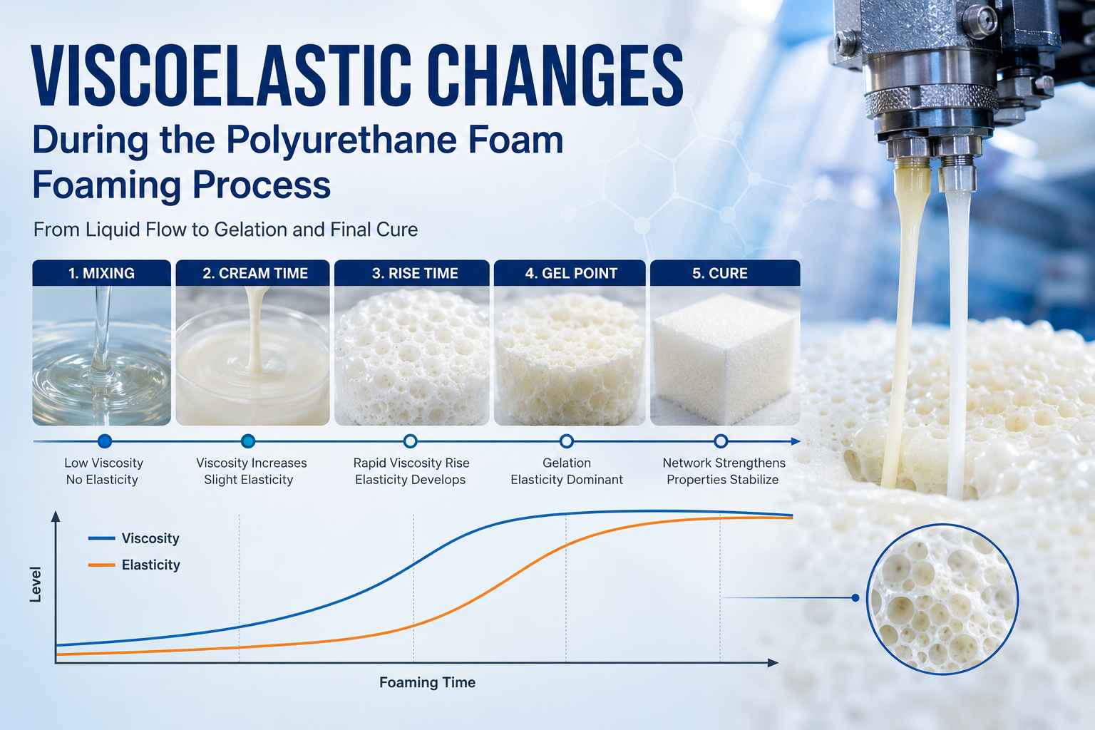 Polyurethane Foam